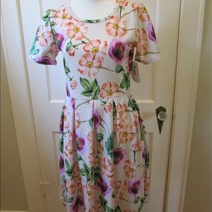 Floral Print Women's Dress